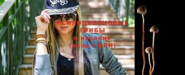 ПСИЛОЦИБИНОВЫЕ ГРИБЫ Вязьма