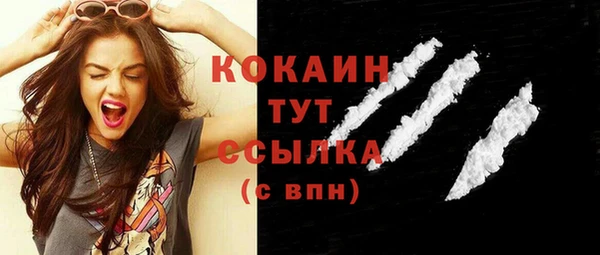 прущая мука Вяземский