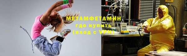 прущая мука Вяземский
