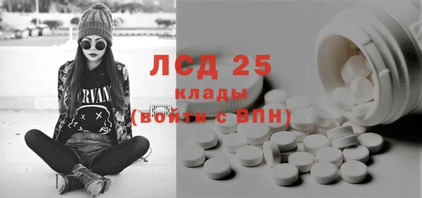 прущая мука Вяземский
