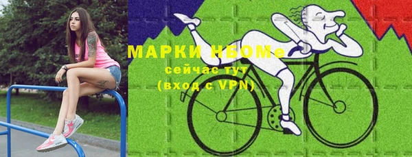 прущая мука Вяземский