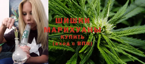 шишки Володарск