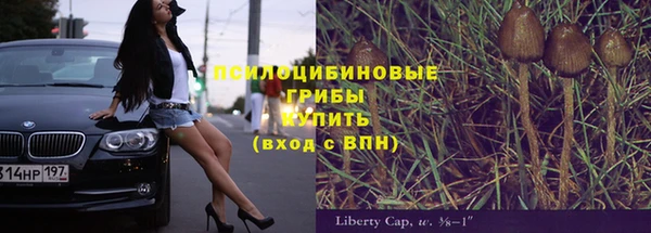 прущая мука Вяземский