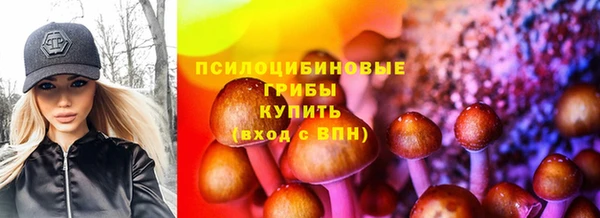 ПСИЛОЦИБИНОВЫЕ ГРИБЫ Вязьма